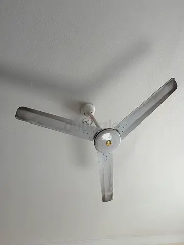 3-blade white ceiling fan - Pak Fan company