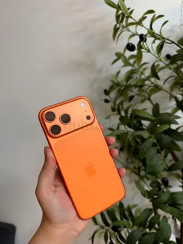 iPhone 17 Pro Max (TDRA) (256 GB)