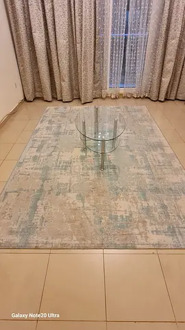 Light blue-beige modern area rug - good condition