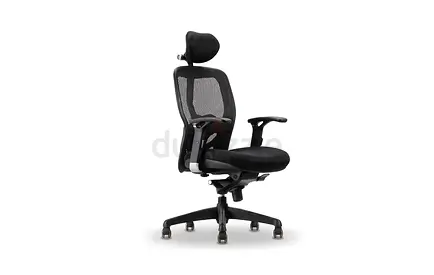 Ergonomic Mesh Office Chair with Headrest - Adjustable Lumbar Support