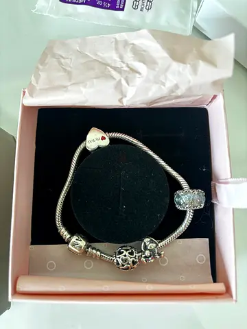 Silver charm bracelet with multiple charms. 1 price (text me)Just the bracelet will cost 120 prices