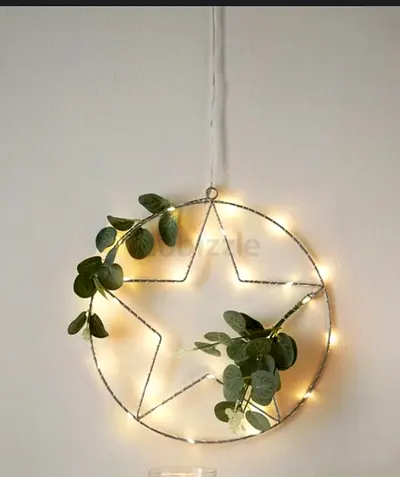 Home decor star grass plant
