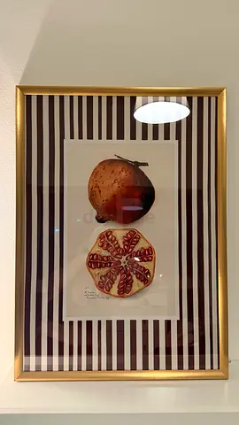 Framed Pomegranate Art Print with Gold Frame