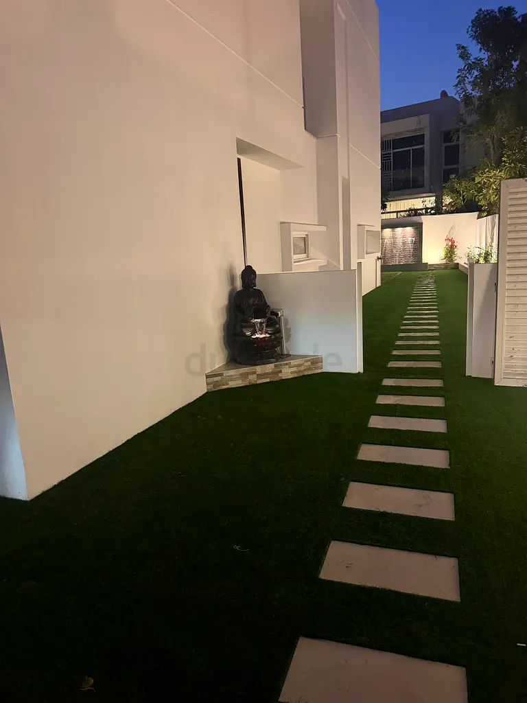 DPV_View_Image_1