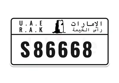 S 86668