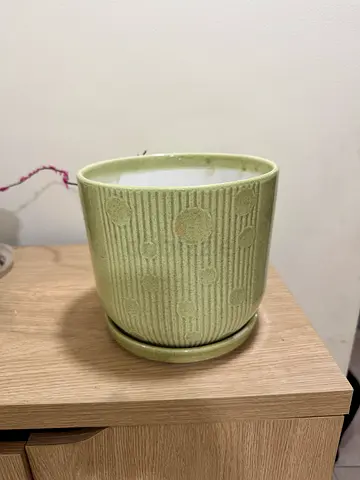Ceramic Plant Pot