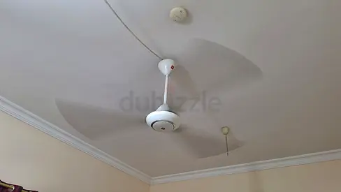 Used 3-Blade White Ceiling Fan - Working Condition