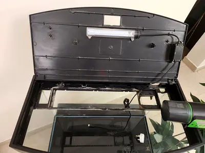 Used glass aquarium with hood, light and filter - 60x45x36cm (approx) with the cabinet