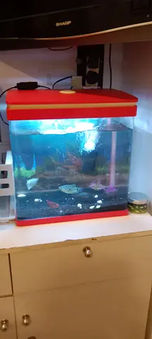 Aquarium