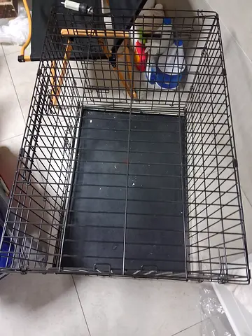 medium metal dog crate with removable tray