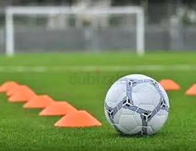 Fitness trainer and football coach