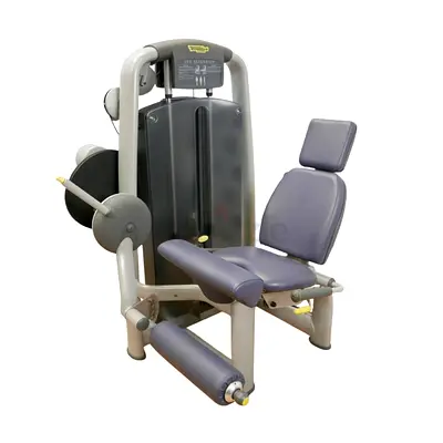 Technogym Selection Leg Extension