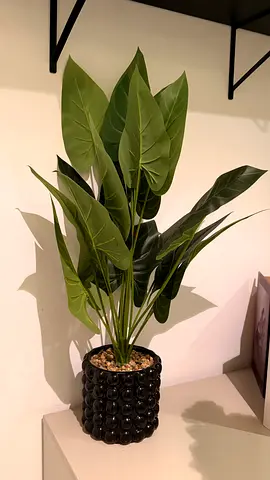 Artificial Bird of Paradise Plant with Decorative Black Pot - Ready to Place