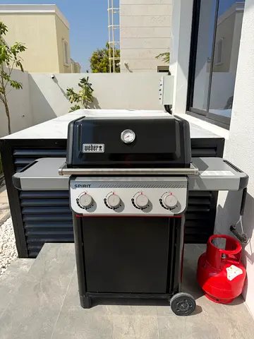 Weber Gas BBQ Grill