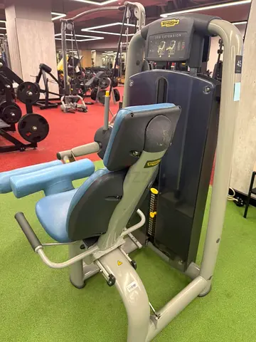 Technogym Leg Curl