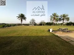 Luxury Farm for Rent in Kaber, Umm Al Quwain | 250,000 Sq. Ft. | 5BR Villa | Pool | Horse & Livestoc