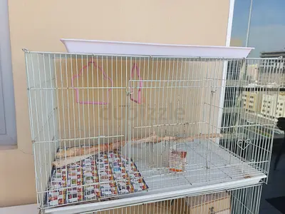 Bird cage