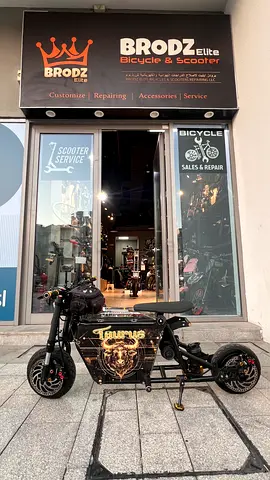 Electric Scooter / Mini Electric Bike - Custom 'Taurus' Panel
