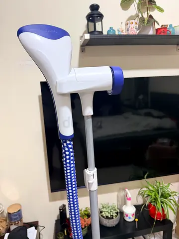 Handheld Garment Steamer with Telescopic Pole - Lightly Used