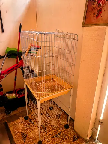 Medium metal bird cage with stand and tray - used