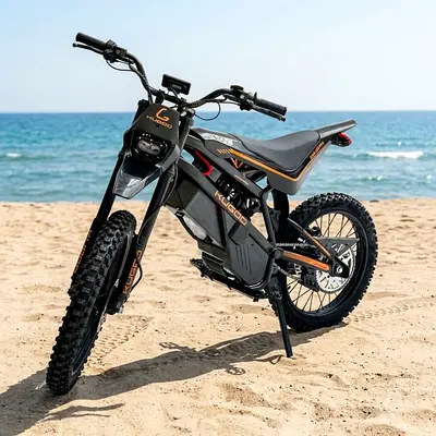 Kugoo wish 2 pro