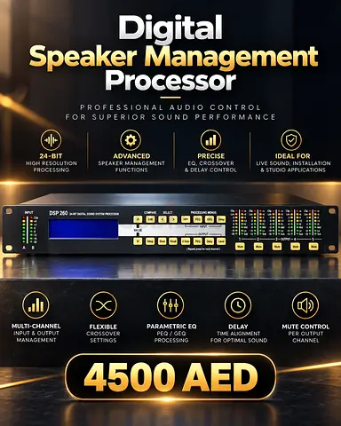 Digital Speaker Management Processor