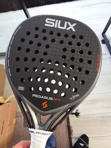 SIUX Pegasus Pro 2026 - Good as Ne2 - Used for 1 hr