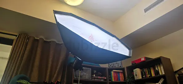 GODOX SL60W Studio Light full Stand and octagonal softbox - EXCELLENT Condition and Full accessories