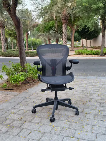 Remastered Version Herman Miller Chair Fully Options Excellent Condition