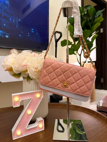 Light Pink Quilted Chain Shoulder Bag - Small Crossbody Style