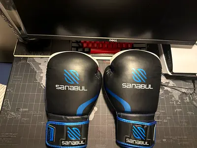 Boxing gloves and headgear