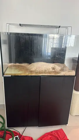 Aquamedic 100cm 1 year old including pump,skimmer,rocks and sand