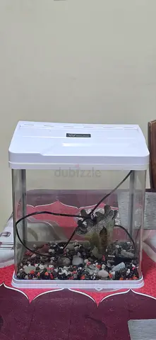 Aquarium