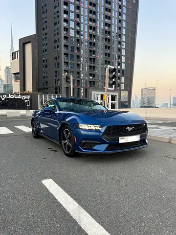 2024 Ford Mustang EcoBoost | American Specs | Pristine Condition