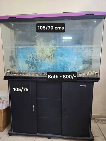 Large Fish Aquarium with Cabinet - 105x70 cm Tank + 105x75 cm Stand (Both 800 AED)