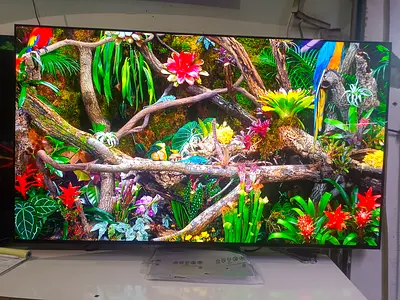 Samsung 65 inch OLED S90F model 2025