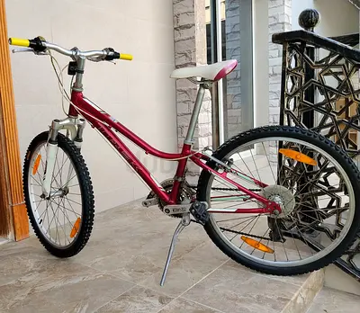 TREK brand 24" bike