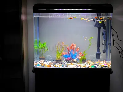 Medium Glass Fish Aquarium Tank with Filter, LED Light and Stand