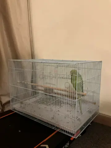 Parakeet / Small Bird Cage with Perches and Food Trays