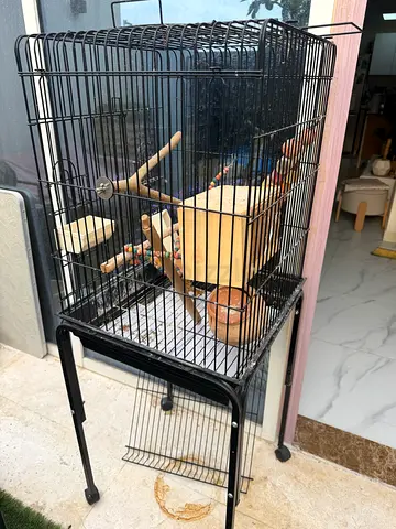 Bird cage