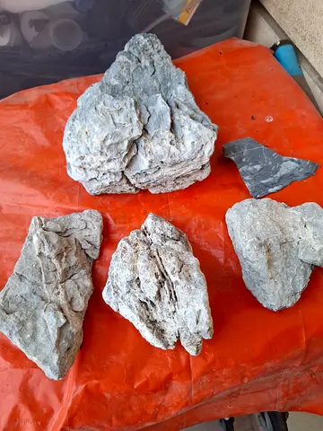 Seiryu Rock Specimens - 5 Pieces