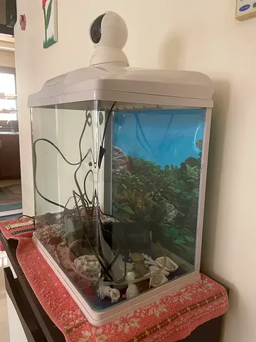 Glass Fish Aquarium Tank with Hood , heater and Filter - Good Condition