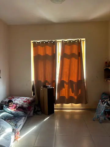 Homebox dark curtains