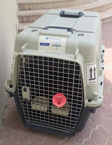 Dogs carriers for air travel