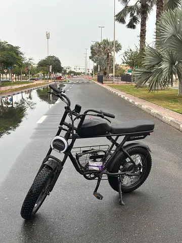Windhourse D5 Fat Tire E-bike (65kph)