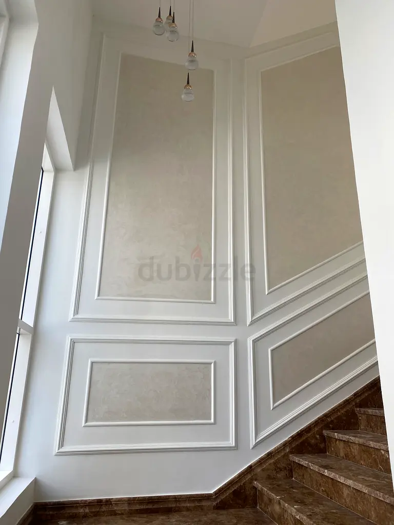 DPV_View_Image_5