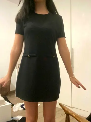 zara dress