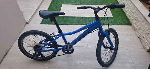 Classifieds: Giant used 20-inch Blue Kids Mountain Bike - Good ...
