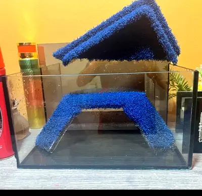 Turtle aquarium