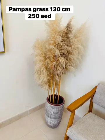 Pampas grass vase 130 cm